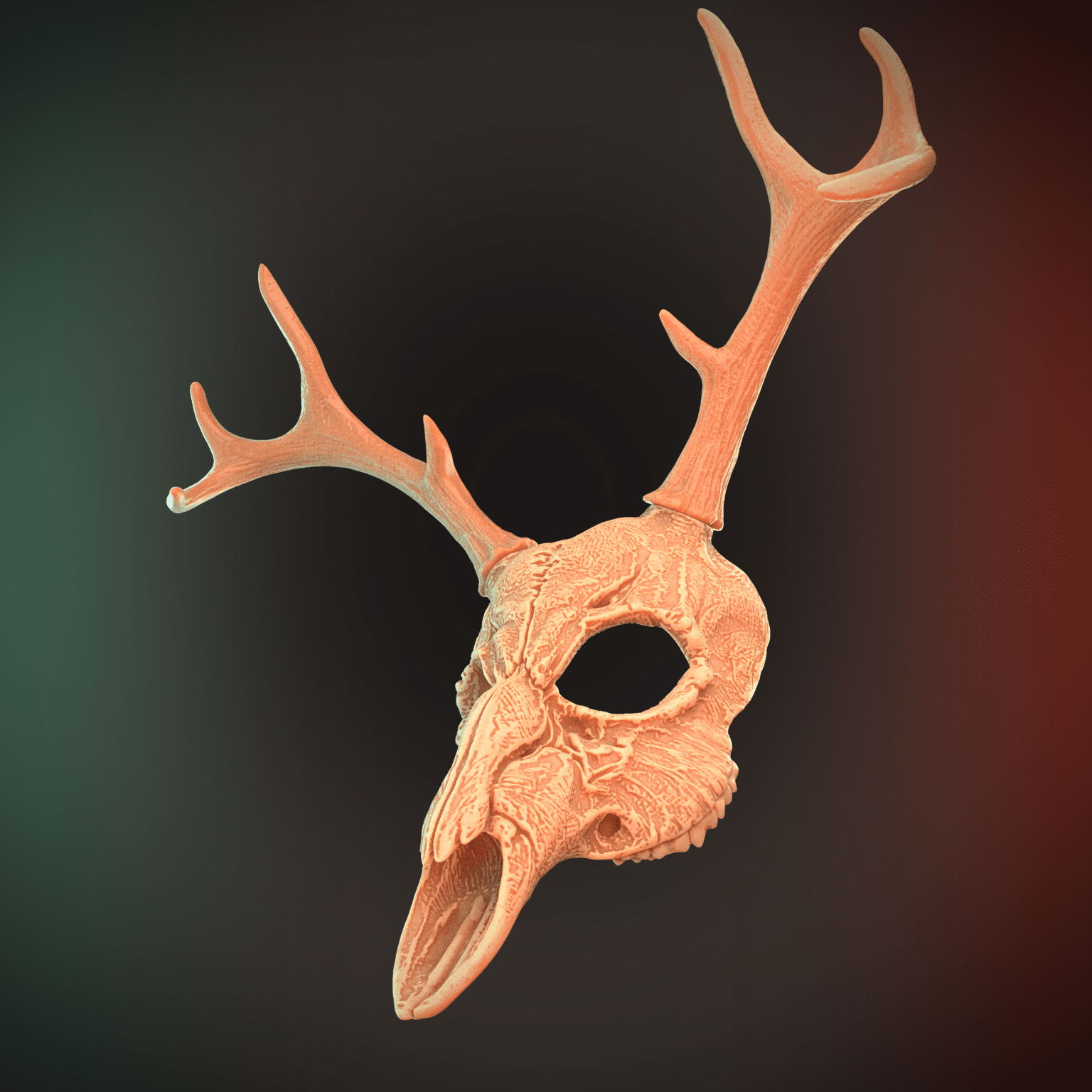 Deer Skull Mask 2 Horns 3D Model STL file