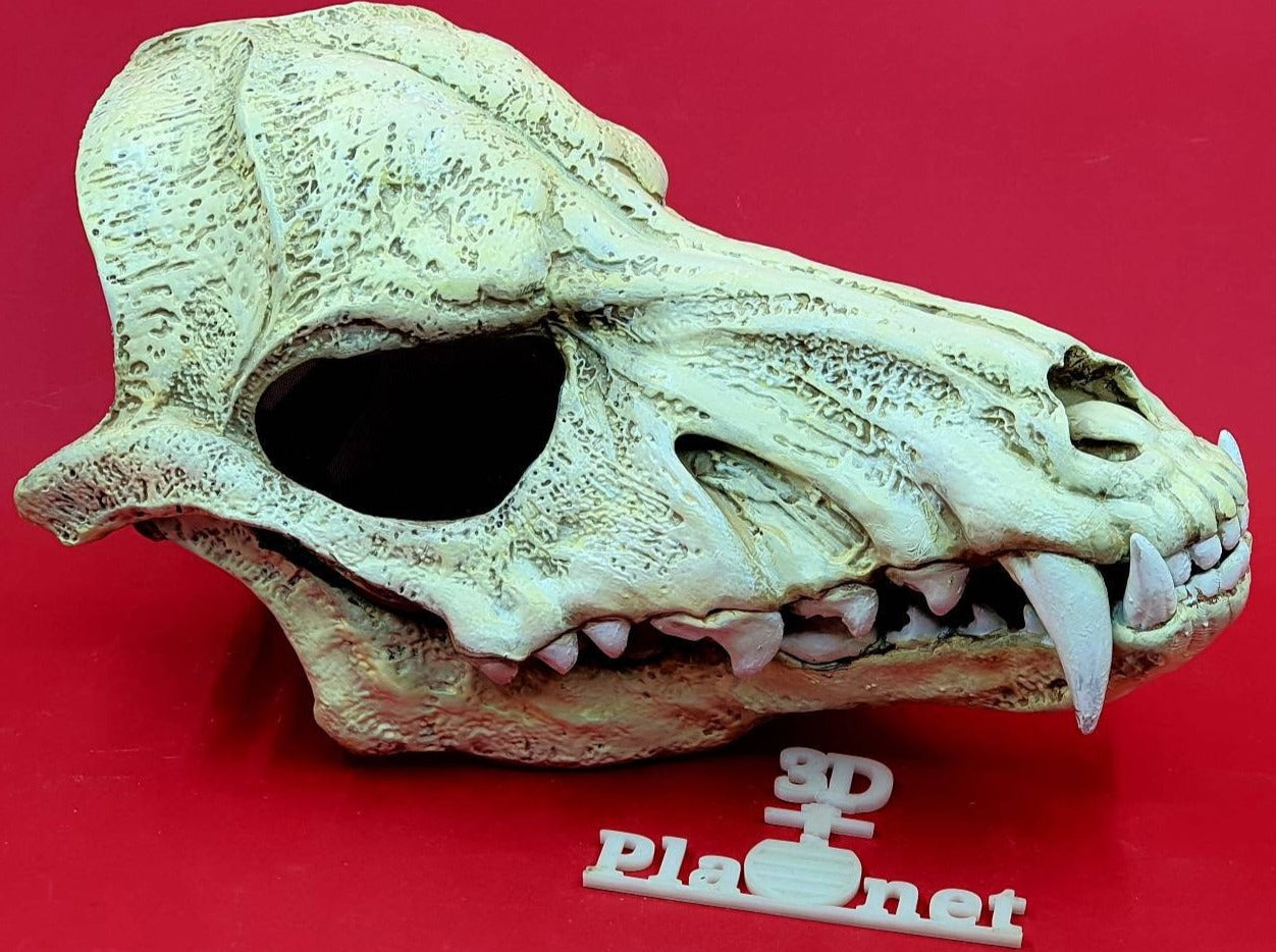 Wolf Skull Mask with Moving Jaw