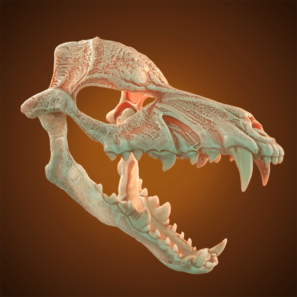 Wolf Skull Mask 3D Model STL file