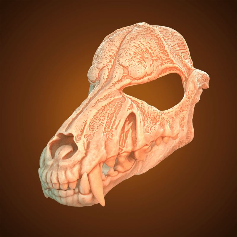 Wolf Skull Mask 3D Model STL file