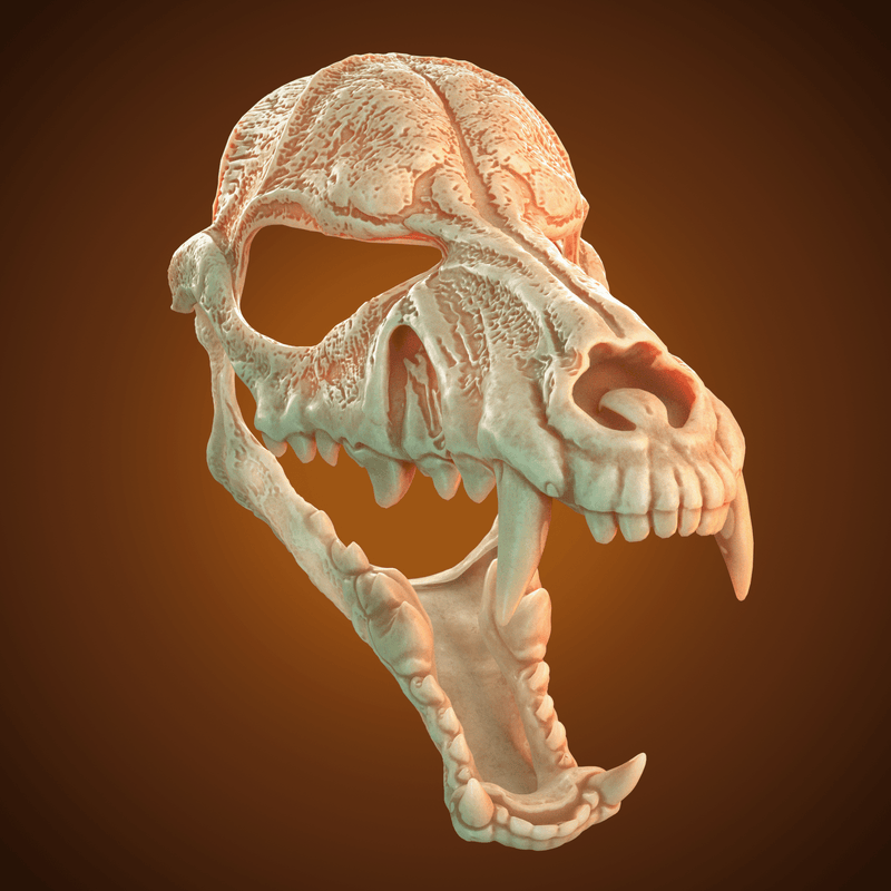 Wolf Skull Mask 3D Model STL file