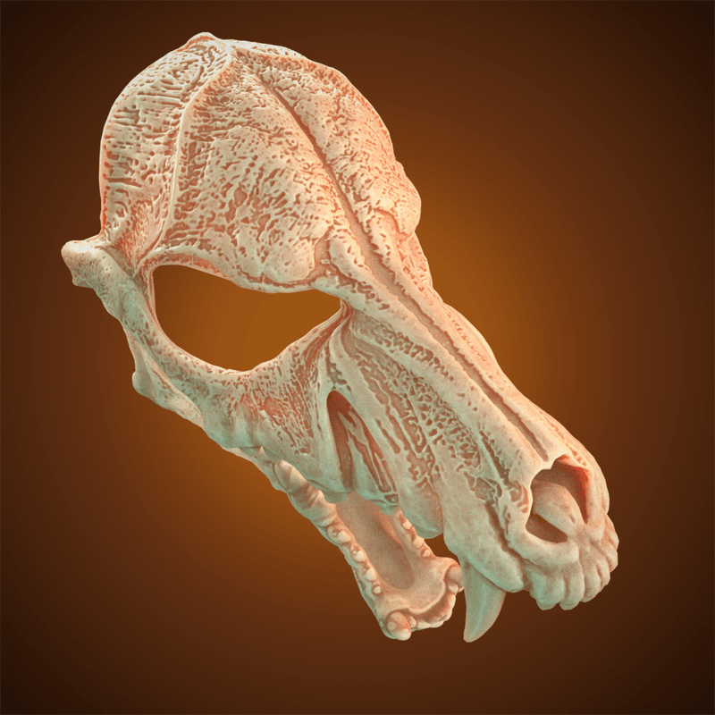 Wolf Skull Mask 3D Model STL file