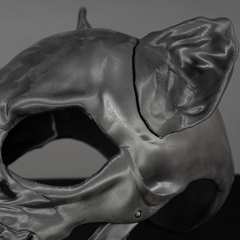 Cat Skull Mask Raw Kit 3D Print