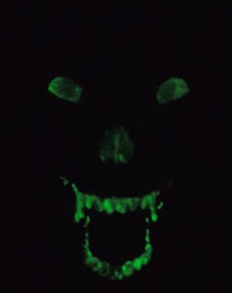 SCP-1471-A Mask Furry Ears